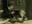 Peter Madsen and CIA play Silent Movies - The Affairs of Anatol
