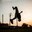 tanz ist surprises: Shake The Dust