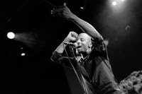 Sofa Surfers - 20 Jahre Tour