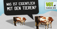 Was ist eigentlich mit den Tieren?