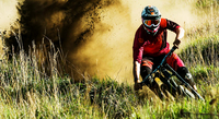 Alp-Con Cinematour - Bike