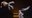 tanz ist surprises: James Wilton Dance & Junges Ensemble Vorarlberg (A/D) – LEVIATHAN Evolution