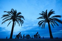 Freeride Filmfestival