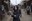 PJ Harvey – A Dog called Money