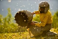 4th HUMAN VISION film festival | Premiere: Honeyland