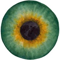 LOVE & PEACE festival - human vision edition