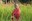 The Seeds Of Vandana Shiva