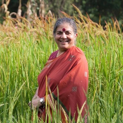 vandana_rust_sari_5_1.jpeg