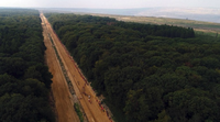 Die Rote Linie – Widerstand im Hambacher Forst