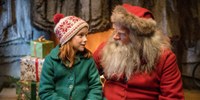 Elise und das vergessene Weihnachtsfest