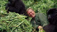 David Attenborough: A Life on Our Planet