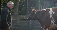 Animals Watching! Butenland