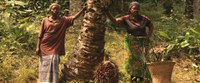 Hunger.Macht.Profite.12 zeigt "Amuka"