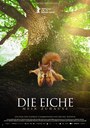 Die Eiche – Mein Zuhause