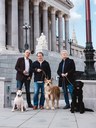 Wir Staatskünstler: Alte Hunde - Neue Tricks