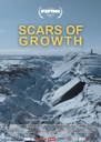 Scars of Growth