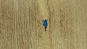 Hunger.Macht.Profite.15 – Filmtage zum Recht auf Nahrung zeigt "Toxic Harvest"