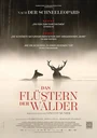 Spielboden Strickkino: Das Flüstern der Wälder