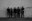 Triste + Arlington Park